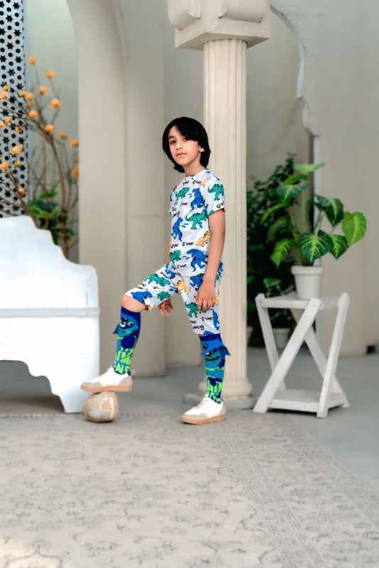 Boys Printed T-Shirt & Shorts Co-ord Set — Dino Roar